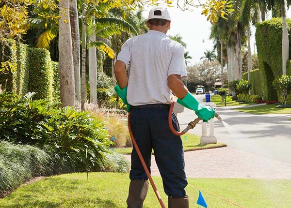 About House Springs MO Pest Control